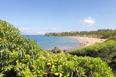 tropik sahil üzerinde yeşil deniz ve ada manzaralı. Maui. Hawaii.