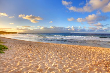 tropikal oneloa beach Maui, hawaii