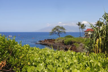 Tropical coast with ocean and island view over the greenery. Maui. Hawaii. clipart