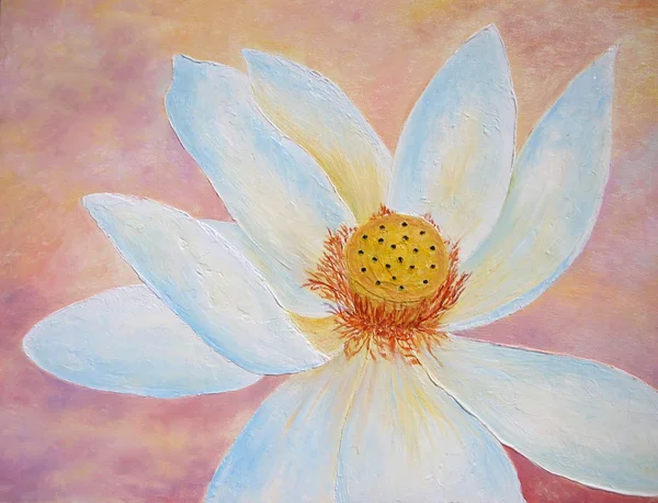 Şeftali Lotus çiçeği. Sanat. — Stok fotoğraf