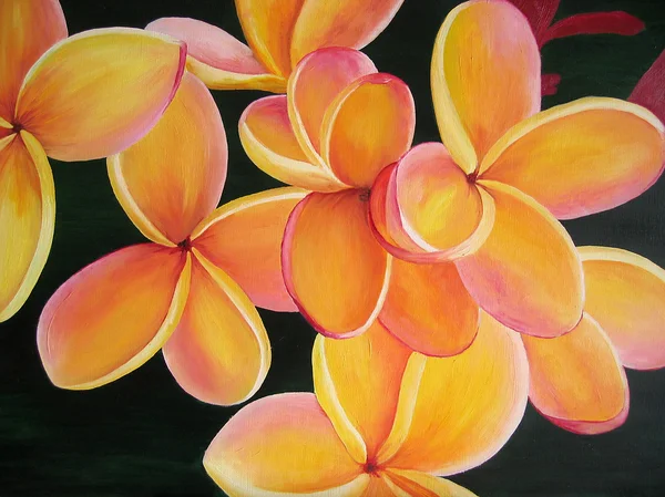 Plumeria květina. oranžová. umění. — Stock fotografie