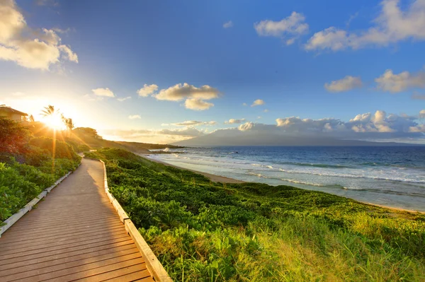 Oneloa пляж шлях на заході сонця, Мауї Гаваї — стокове фото