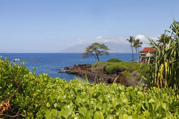 Costa tropical con vista al mar y a la isla sobre la vegetación. Maui. Hawái . —  Fotos de Stock