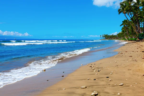 Maui. Hawaii. tropisch strand met blauw water. — Stockfoto