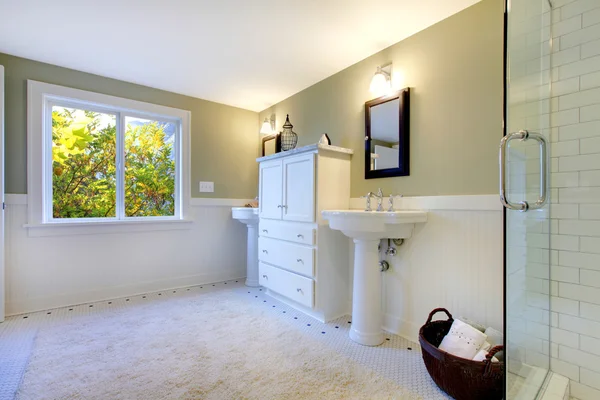 Lujo verde fresco y blanco moderno baño —  Fotos de Stock