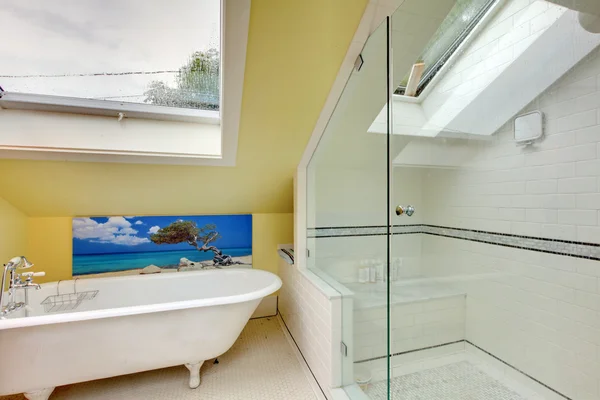 Poddaszu nowe przebudowany nowoczesną łazienkę z prysznicem — Zdjęcie stockowe