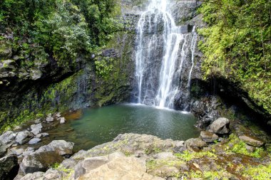 Maui. Hawaii. büyük şelale.