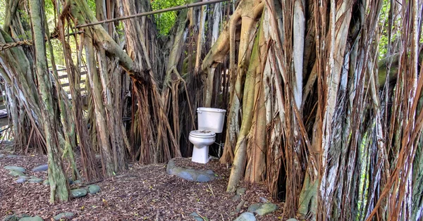 在丛林里的厕所。毛伊岛。夏威夷。生态家. — 图库照片
