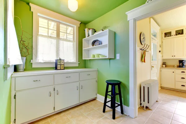 Zelená kuchyně a zahradní místnosti interiér s vyrovnávací pamětí. — Stock fotografie
