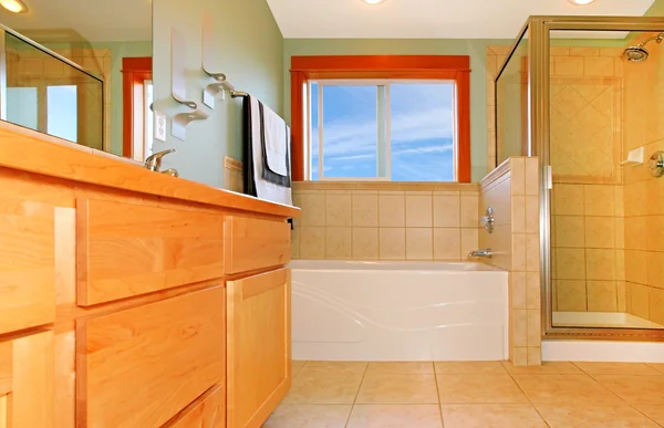 Beautiful large bathroom with shower and bathtub. — Stock Photo, Image