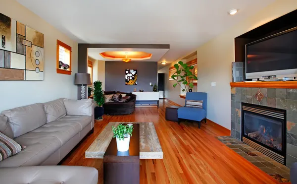 Sala de estar com lareira com TV e sofás de couro . — Fotografia de Stock