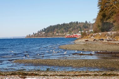 seattle kuzeybatı - park ve eski kırmızı dock kışın.