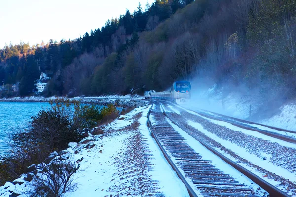 雪の中で西海岸の近くに行くアメリカの鉄道. — ストック写真