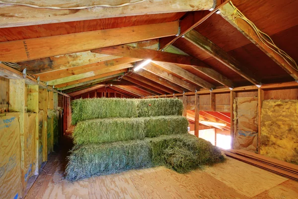 Interieur van het huis paard stabiel op de boerderij. — Stockfoto