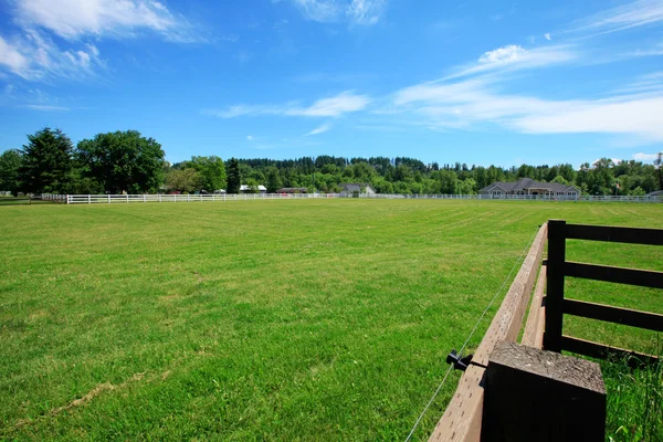 Grote omheinde paard grasland met voorjaar groen gras. — Stockfoto