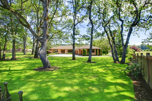 Фермерський будинок з великим переднім двором з деревами . — стокове фото