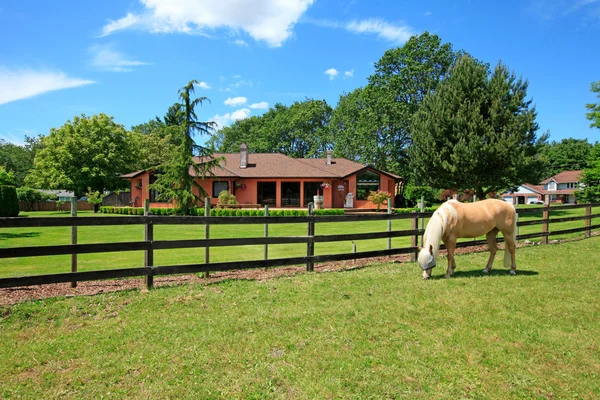 Pferdehof mit Pferden, Haus und Sommer schöner Tag. — Stockfoto