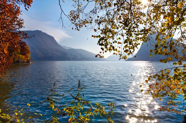 Озеро Лугано с опавшими деревьями. Швейцария . — стоковое фото