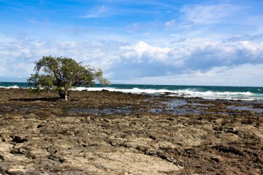 Rock beach