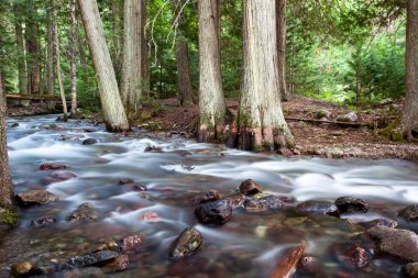 ipeksi su creek