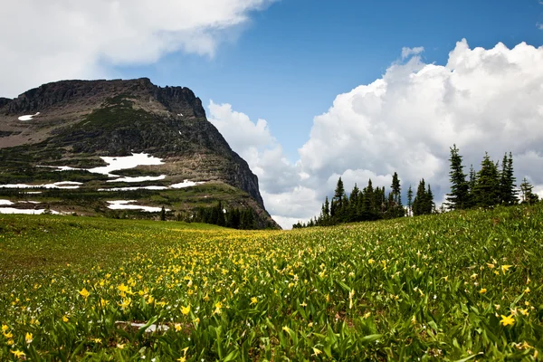 Pradera y montaña — Foto de Stock