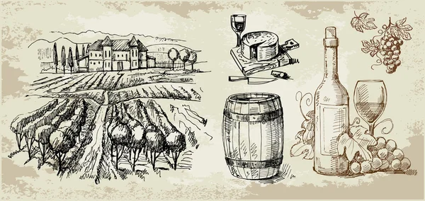 Colección dibujada a mano original del viñedo — Vector de stock