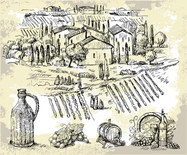 Colección dibujada a mano original del viñedo — Vector de stock
