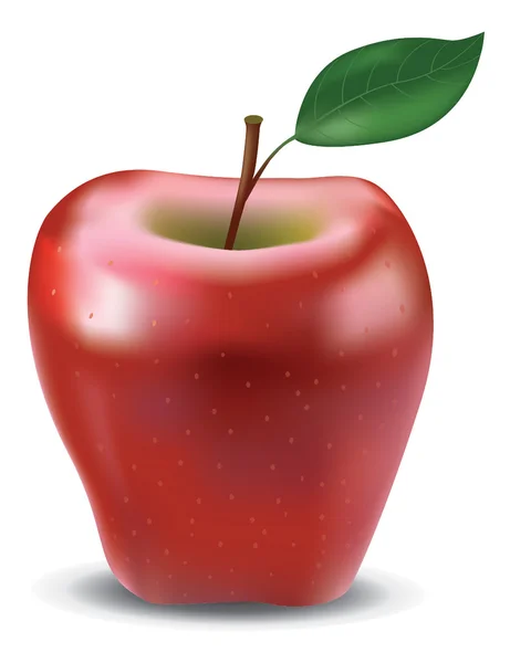 Czerwone jabłko błyszczący z liści — Wektor stockowy