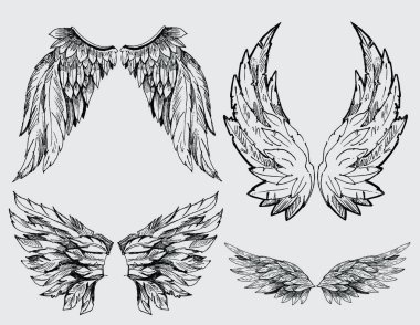 Wings vector set clipart