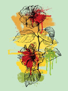 Hibiscus hand drawn illustration clipart