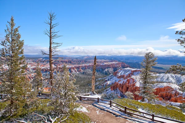 View Bryce Canyon in May 2011 — Stock Photo, Image