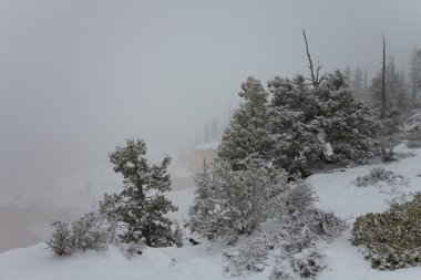 Bryce canyon Mayıs 2011