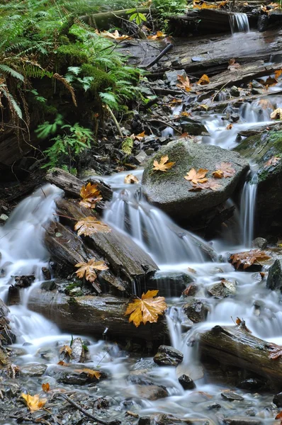 stock image Waterfall in Harrison BC Canada