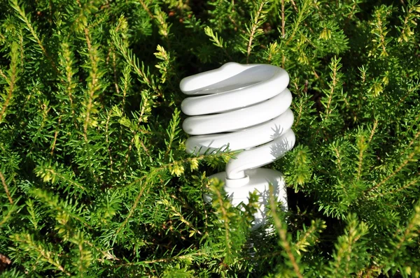 Save energy bulb — Stock Photo, Image