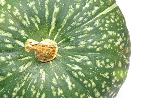 Isolated Japanese pumpkin — Stock Photo, Image
