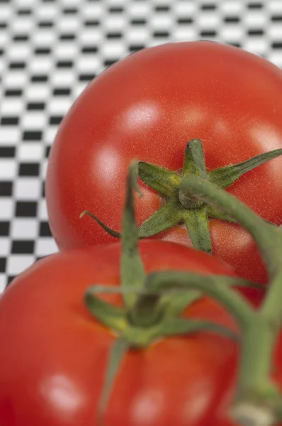 Macro tomatoes — Stock Photo, Image