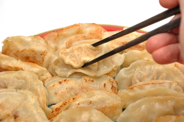 Eating fired chinese dumpling — Stock Photo, Image