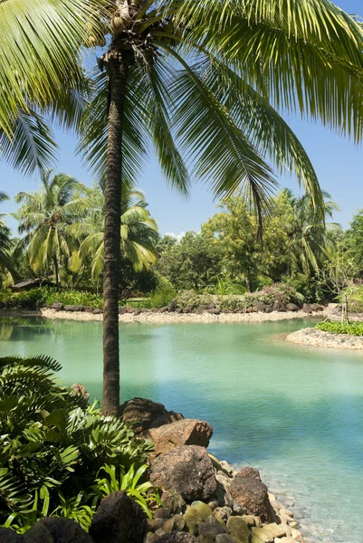 Sfondo di vista tropicale. Goa. — Foto Stock
