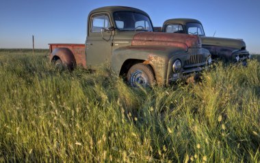Vintage çiftlik kamyonları