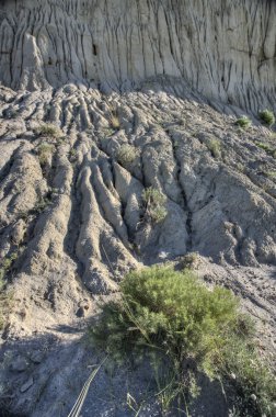 Saskatchewan büyük çamurlu badlands