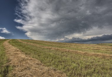 Bozkır yol fırtına bulutları