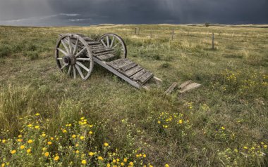 Yaşlı Çayır tekerlekli cart saskatchewan