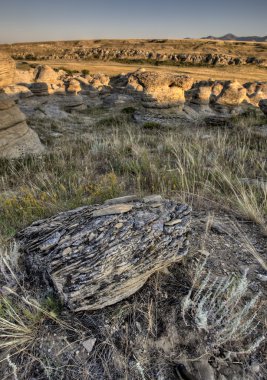 Badlands alberta Kanada hoodoo