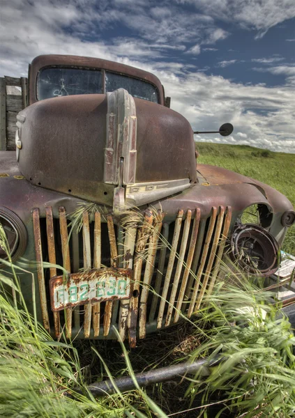 Vintage gård lastbilar — Stockfoto