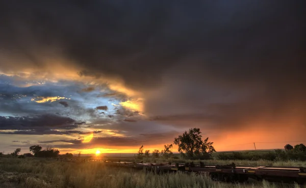 Prairie zonsondergang saskatchewan canada — Stockfoto