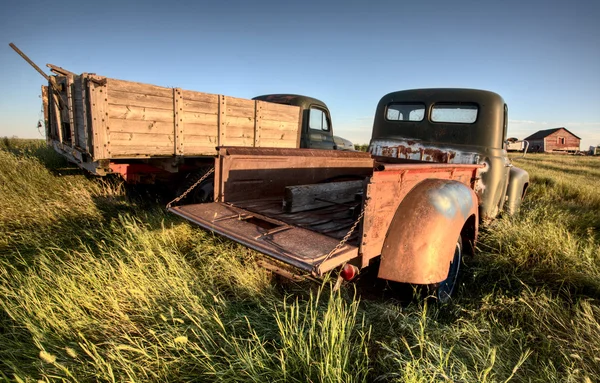 Vintage çiftlik kamyonları — Stok fotoğraf