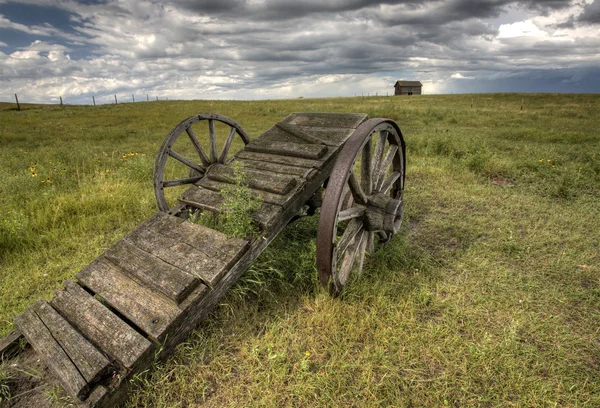 Gamla prairie wheel vagn saskatchewan — Stockfoto