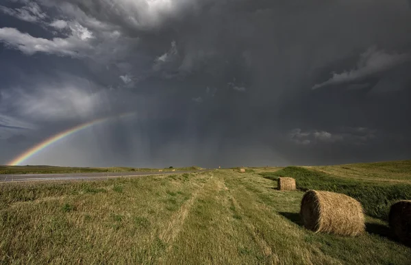 大草原の道の嵐の雲 — ストック写真