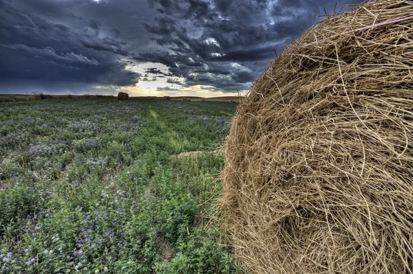 Hay Bale ja Prairie Storm — kuvapankkivalokuva