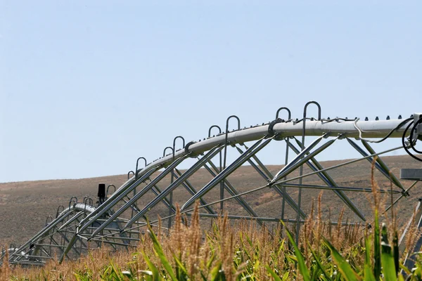 stock image Pivot and corn tops